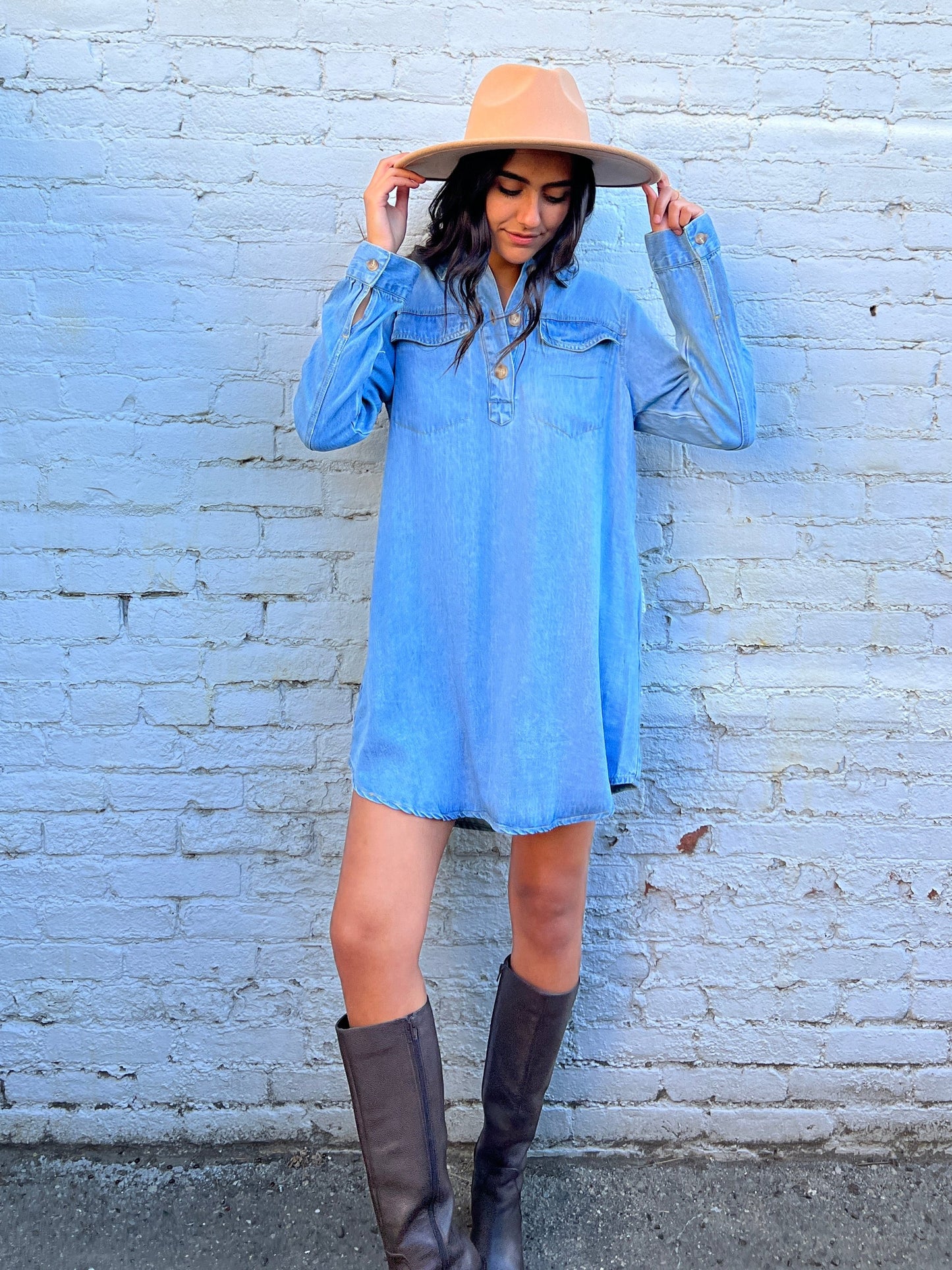 Harlow Denim Mini Dress