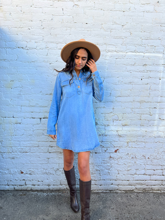 Harlow Denim Mini Dress