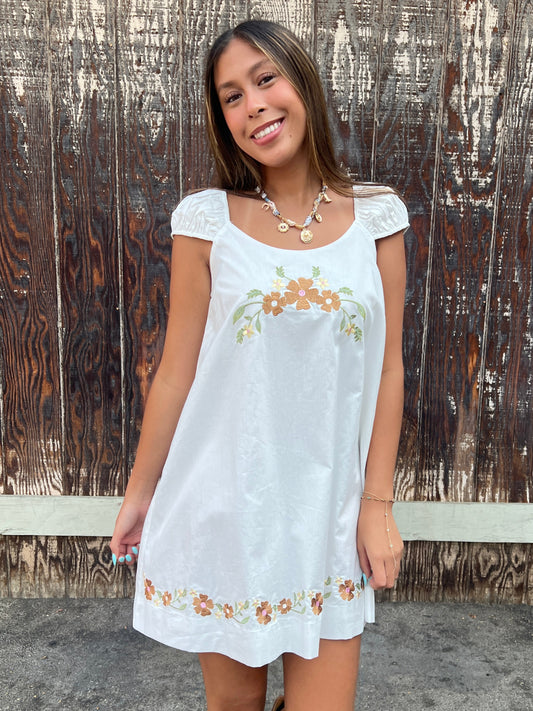 Floral Embroidered Puff Cap Sleeve Mini Dress